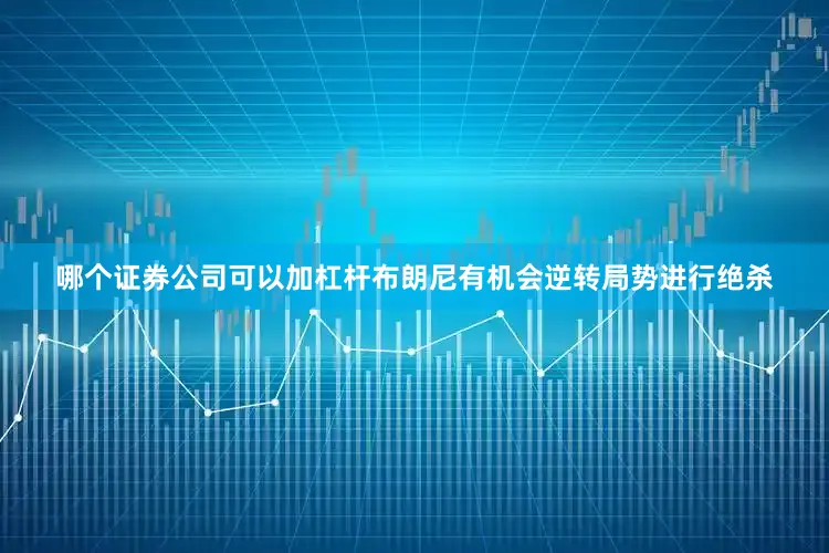 哪个证券公司可以加杠杆布朗尼有机会逆转局势进行绝杀