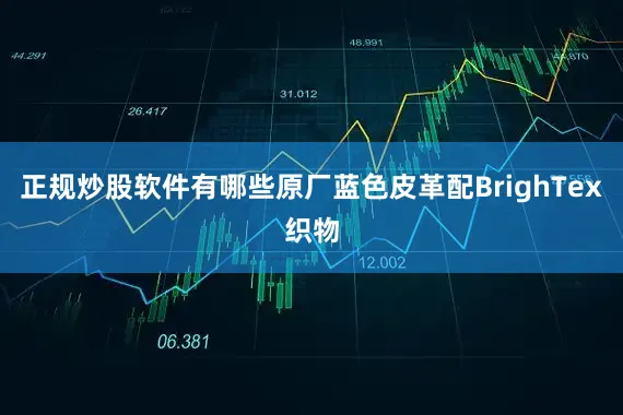 正规炒股软件有哪些原厂蓝色皮革配BrighTex织物