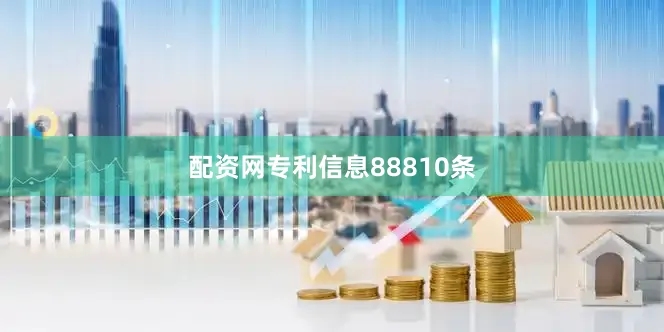 配资网专利信息88810条
